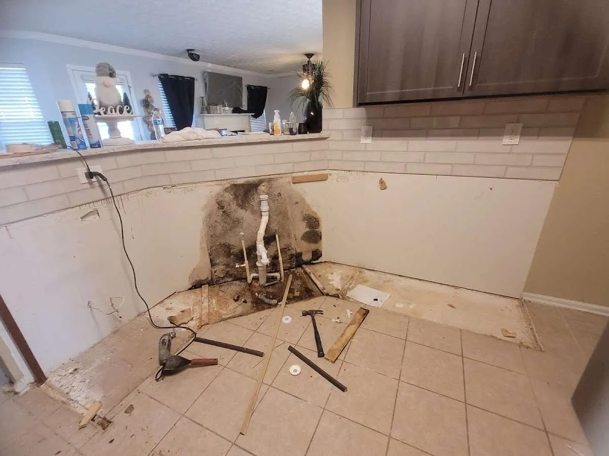 Mold behind wall with plumbing during Flood Damage Cleanup in Scarsdale